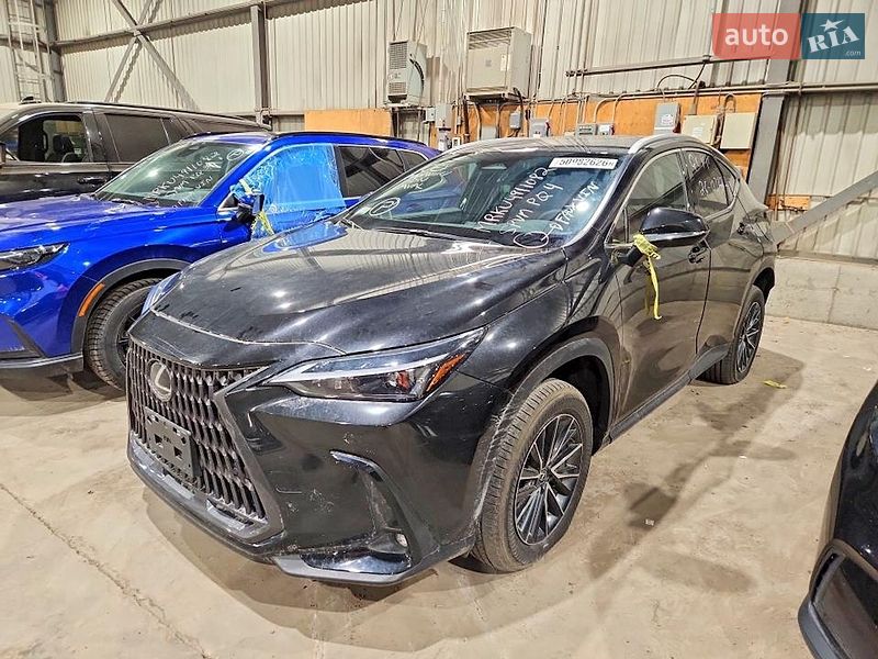 Lexus NX 2024