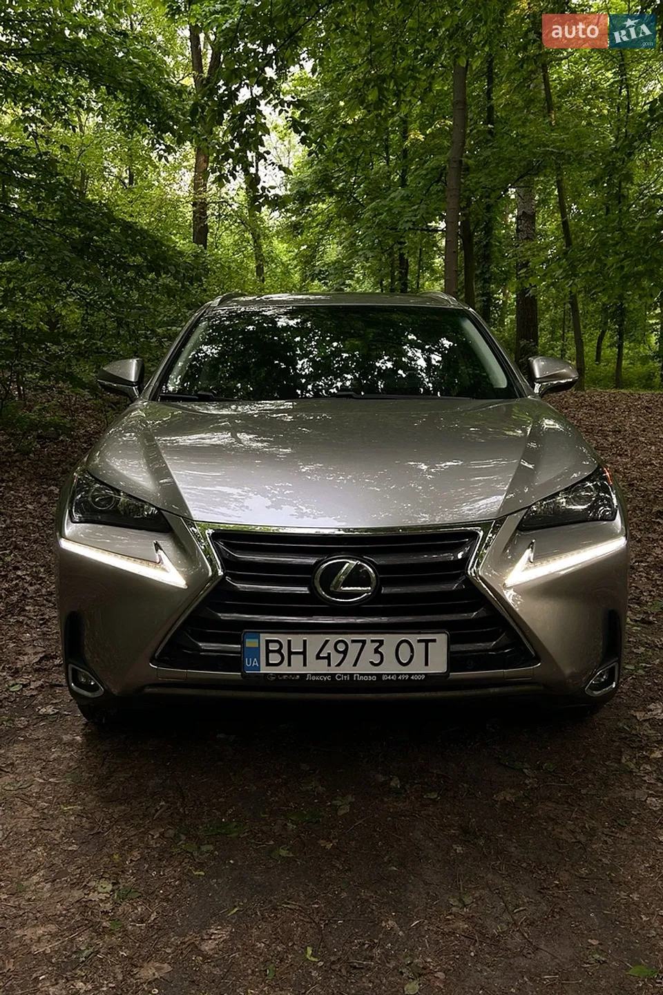 2014 Lexus NX - мініатюра 2