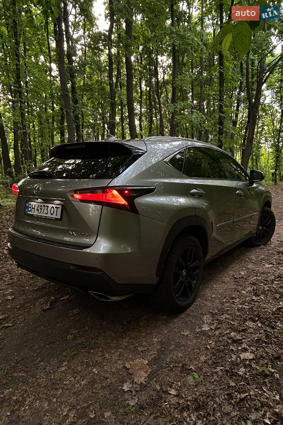 2014 Lexus NX - мініатюра 7