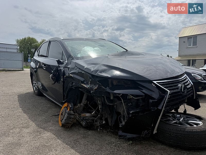 Позашляховик / Кросовер Lexus NX 2019 в Києві