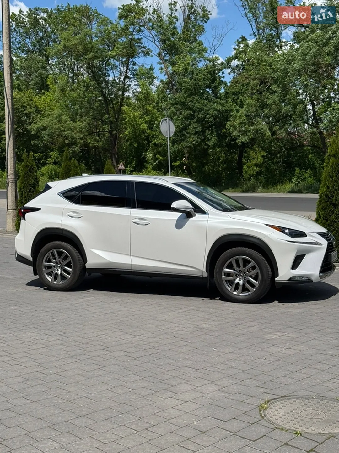 2019 Lexus NX - мініатюра 2