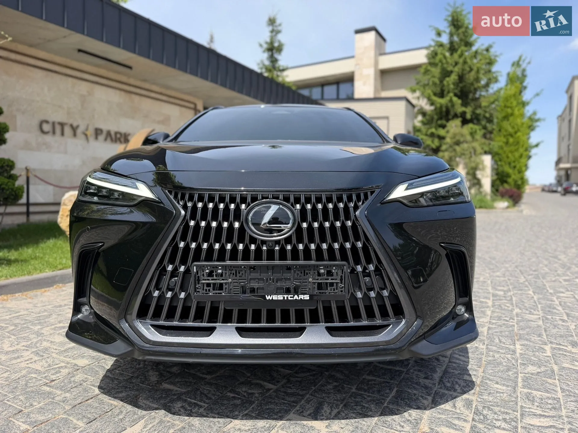 2023 Lexus NX - мініатюра 19