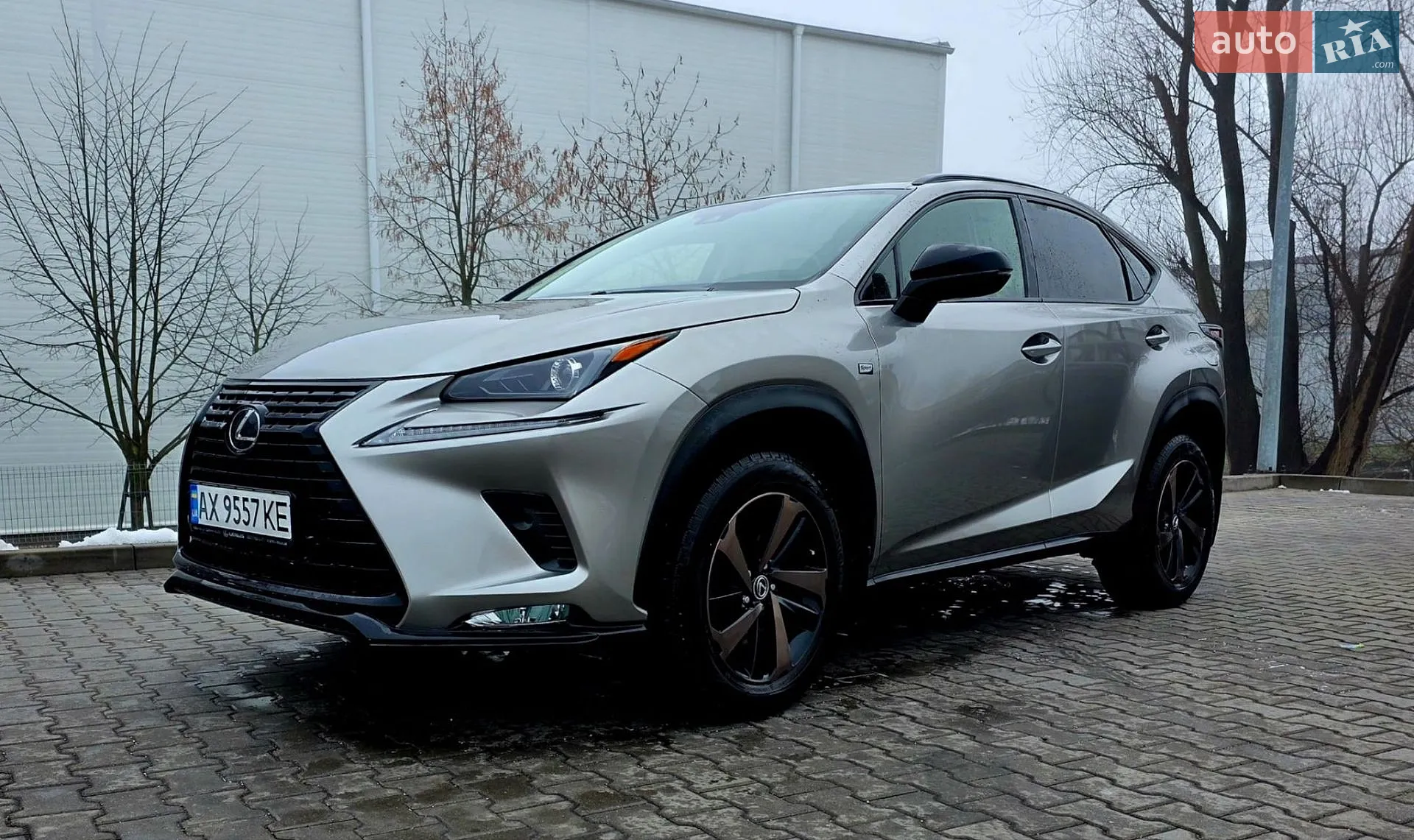 2021 Lexus NX - мініатюра 17