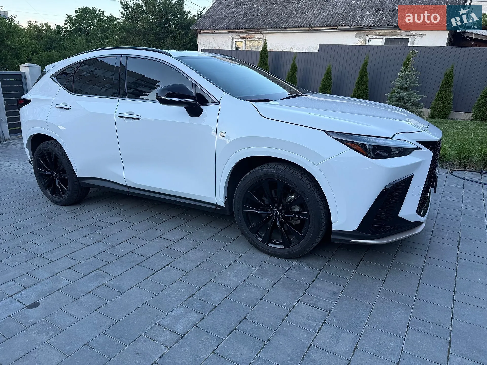 2023 Lexus NX - мініатюра 8
