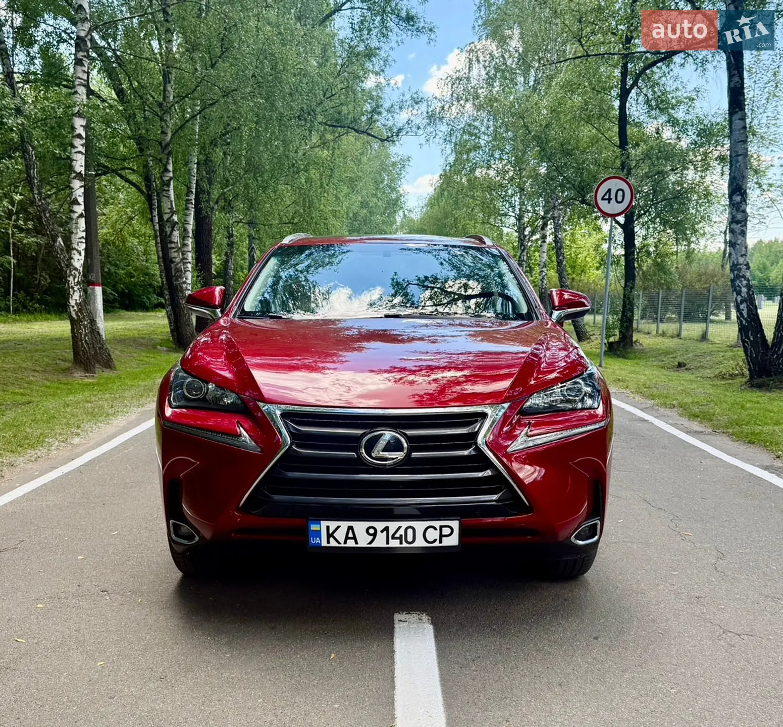 2016 Lexus NX - мініатюра 8