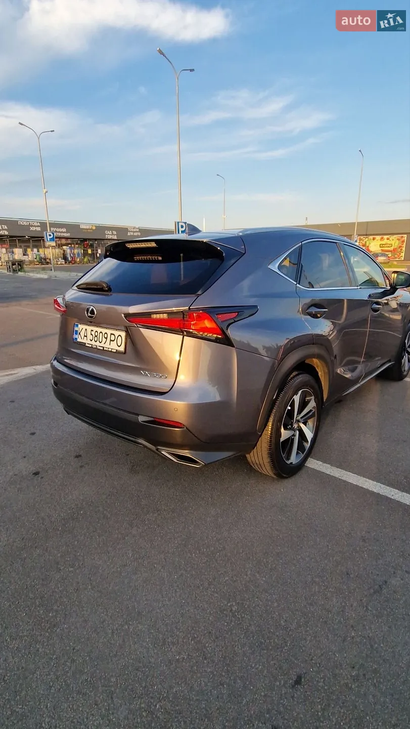 2020 Lexus NX - мініатюра 4