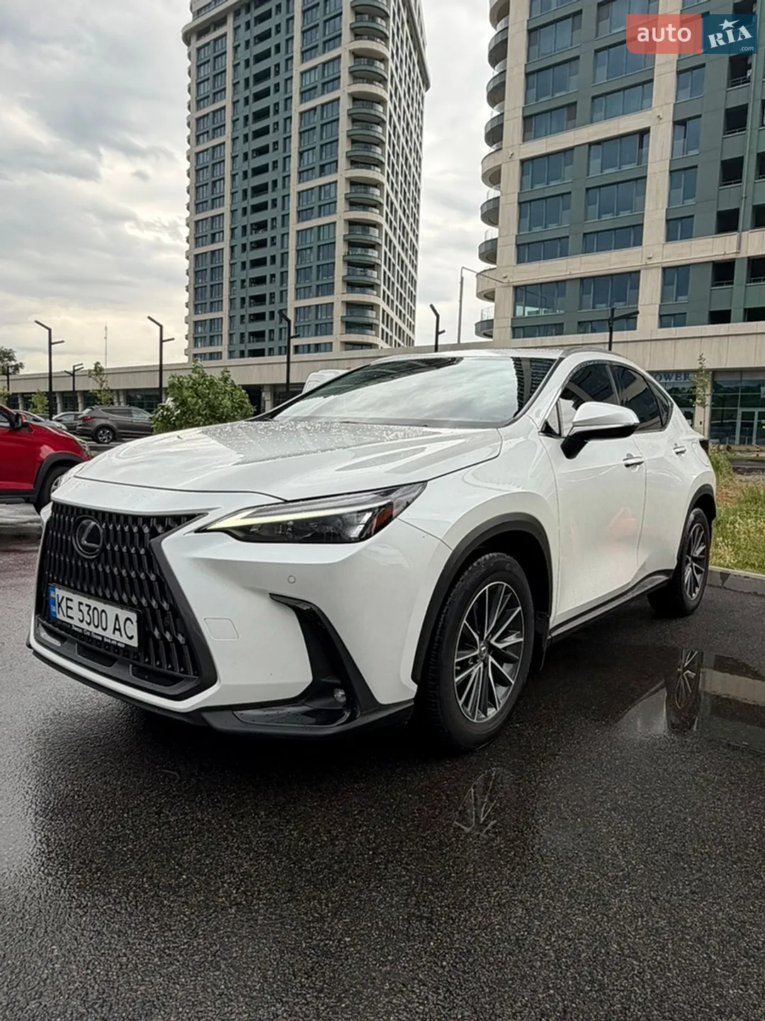 2022 Lexus NX - мініатюра 2