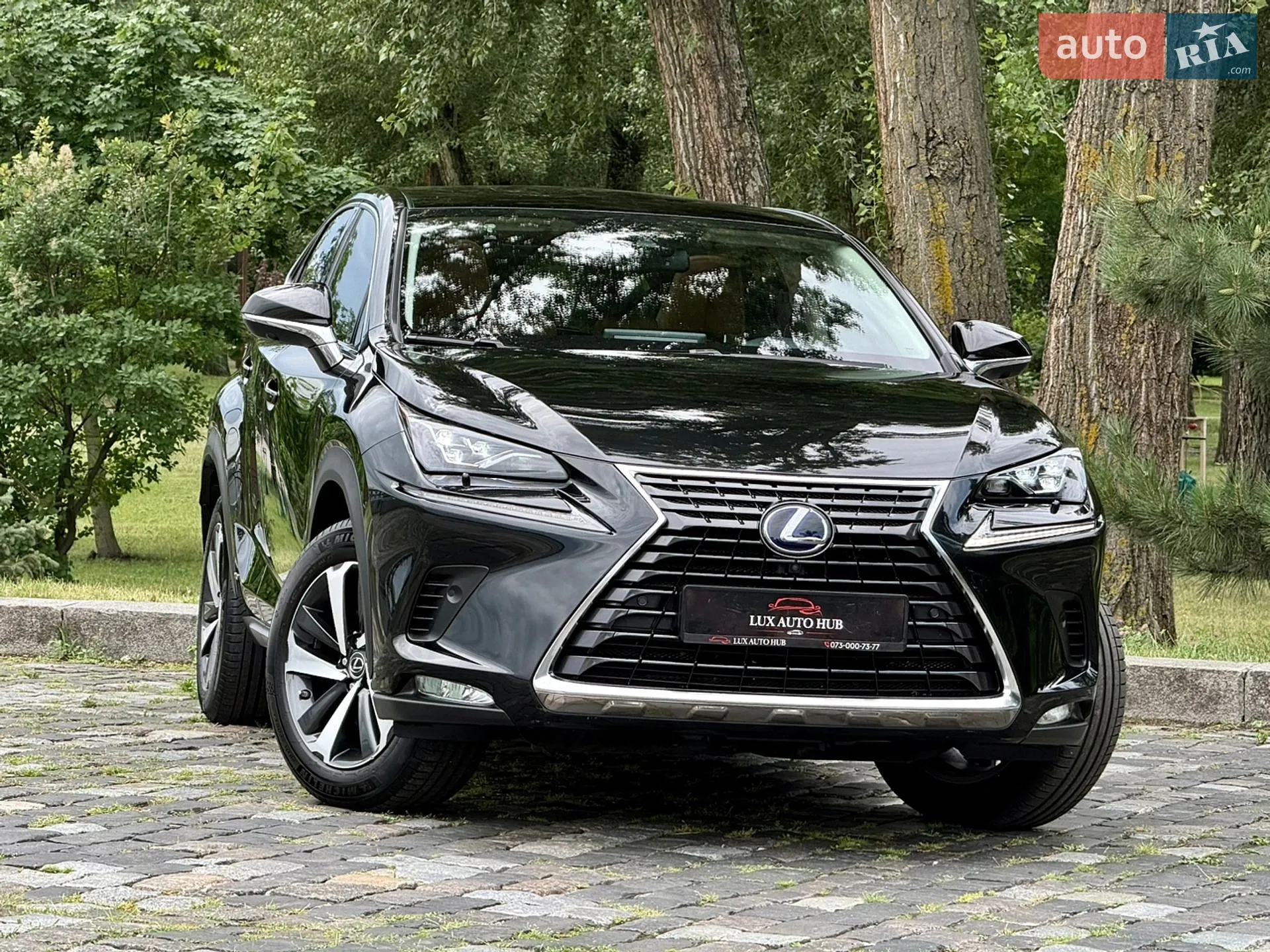 2021 Lexus NX - мініатюра 214