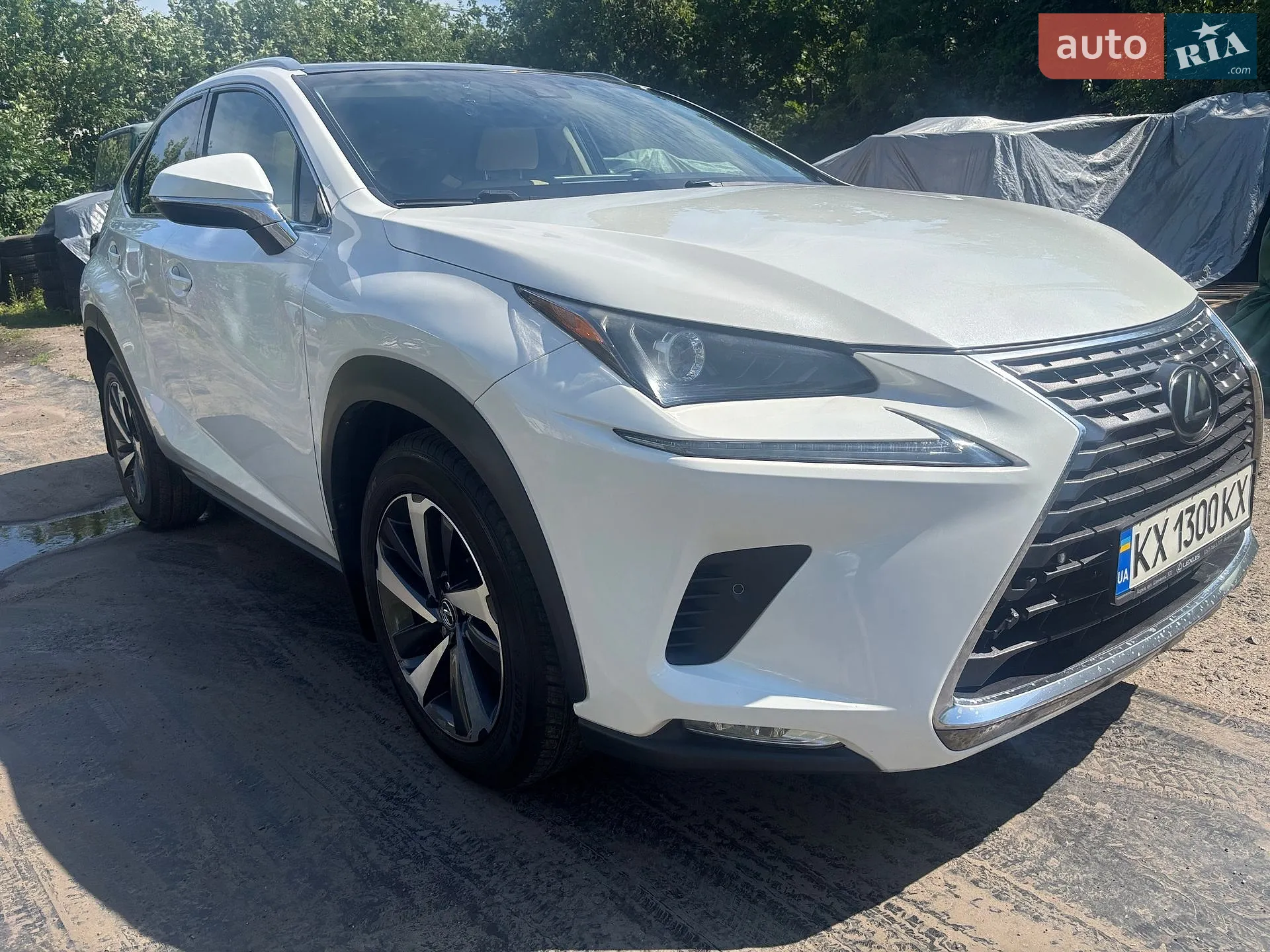 2018 Lexus NX - мініатюра 5