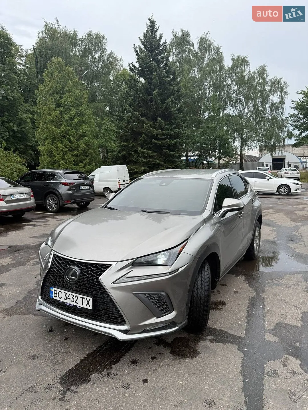 2019 Lexus NX - мініатюра 2
