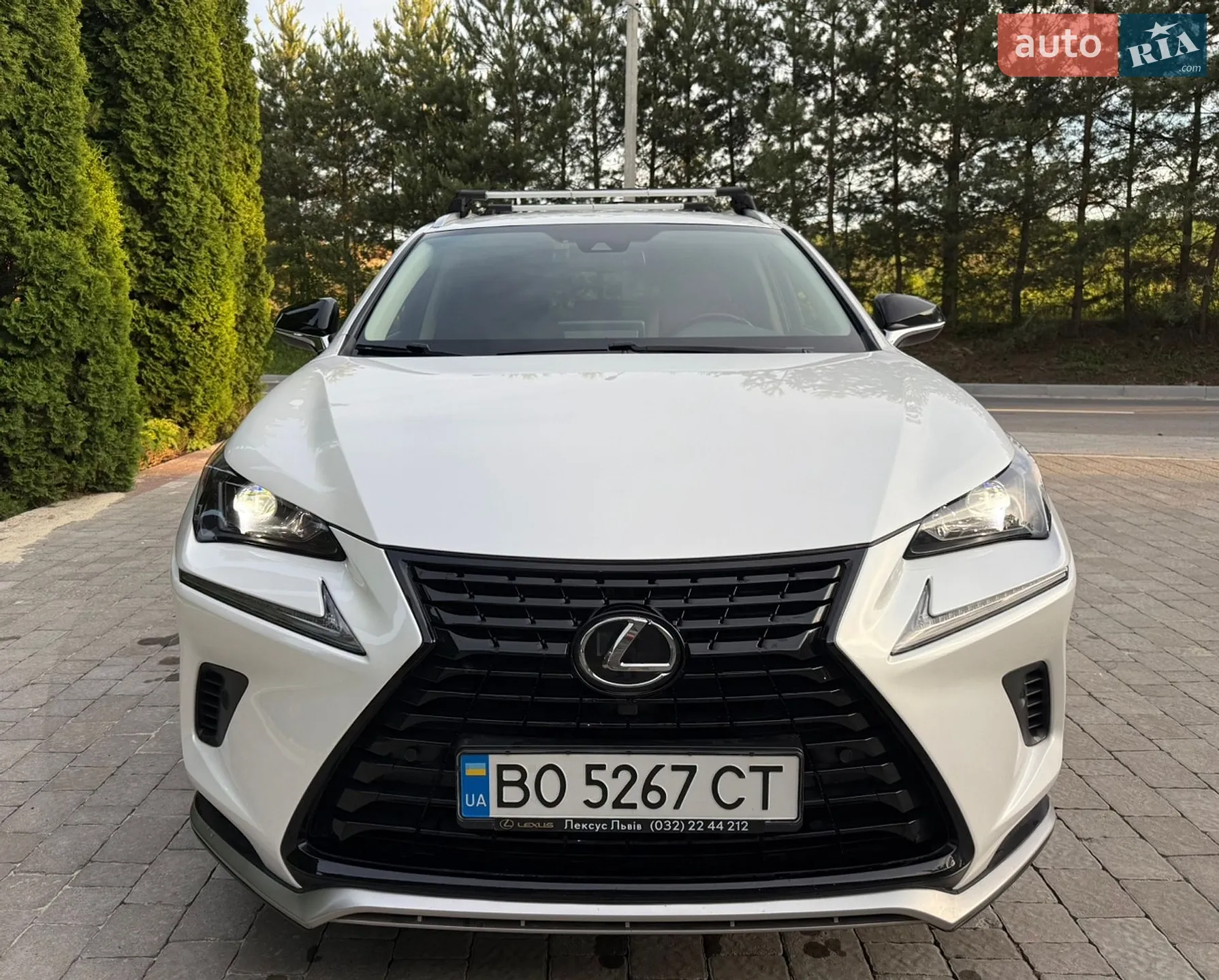 2021 Lexus NX - мініатюра 2
