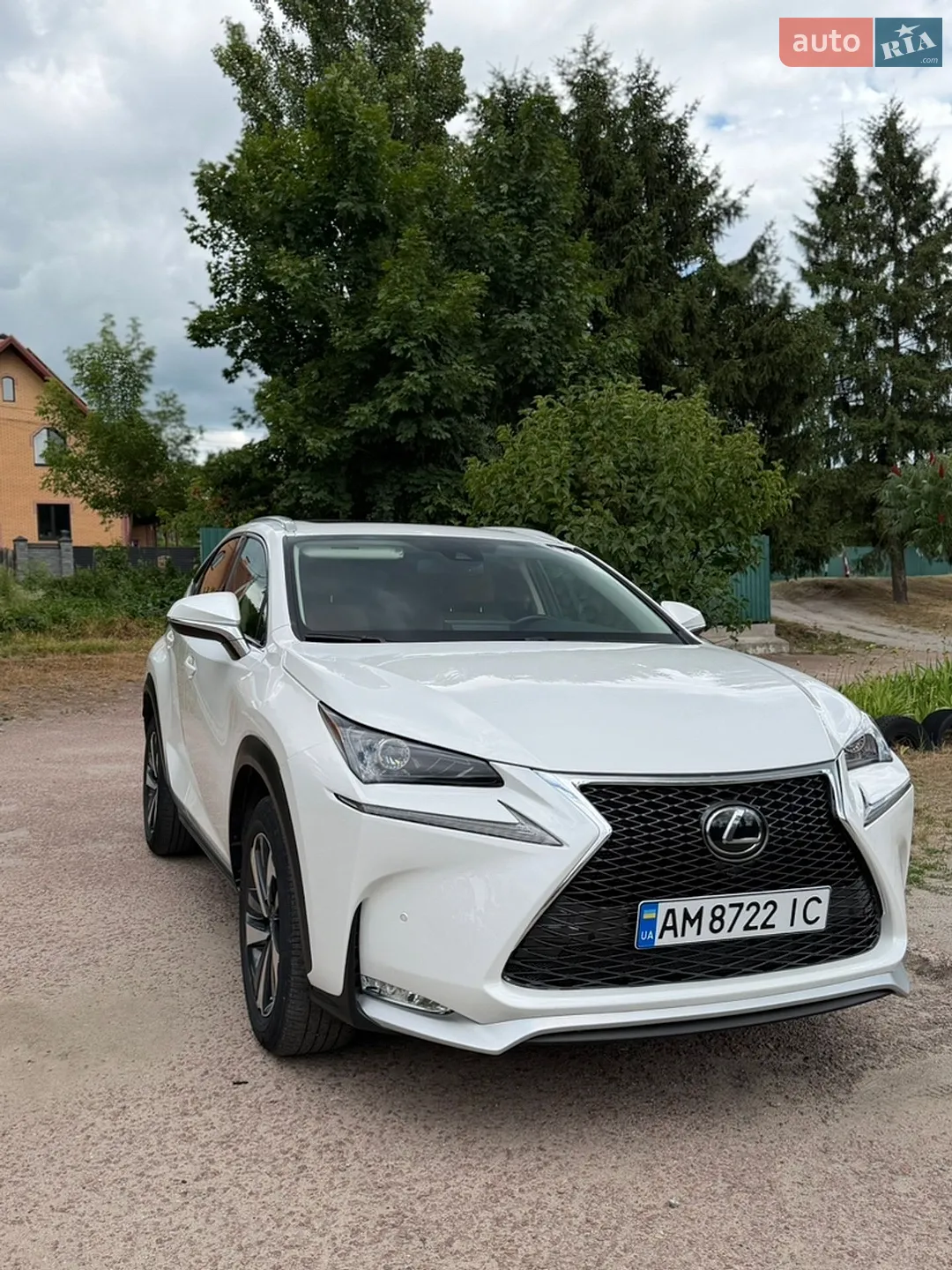 2019 Lexus NX - мініатюра 2