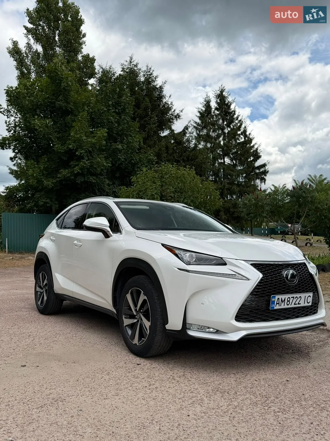2019 Lexus NX - фото 1