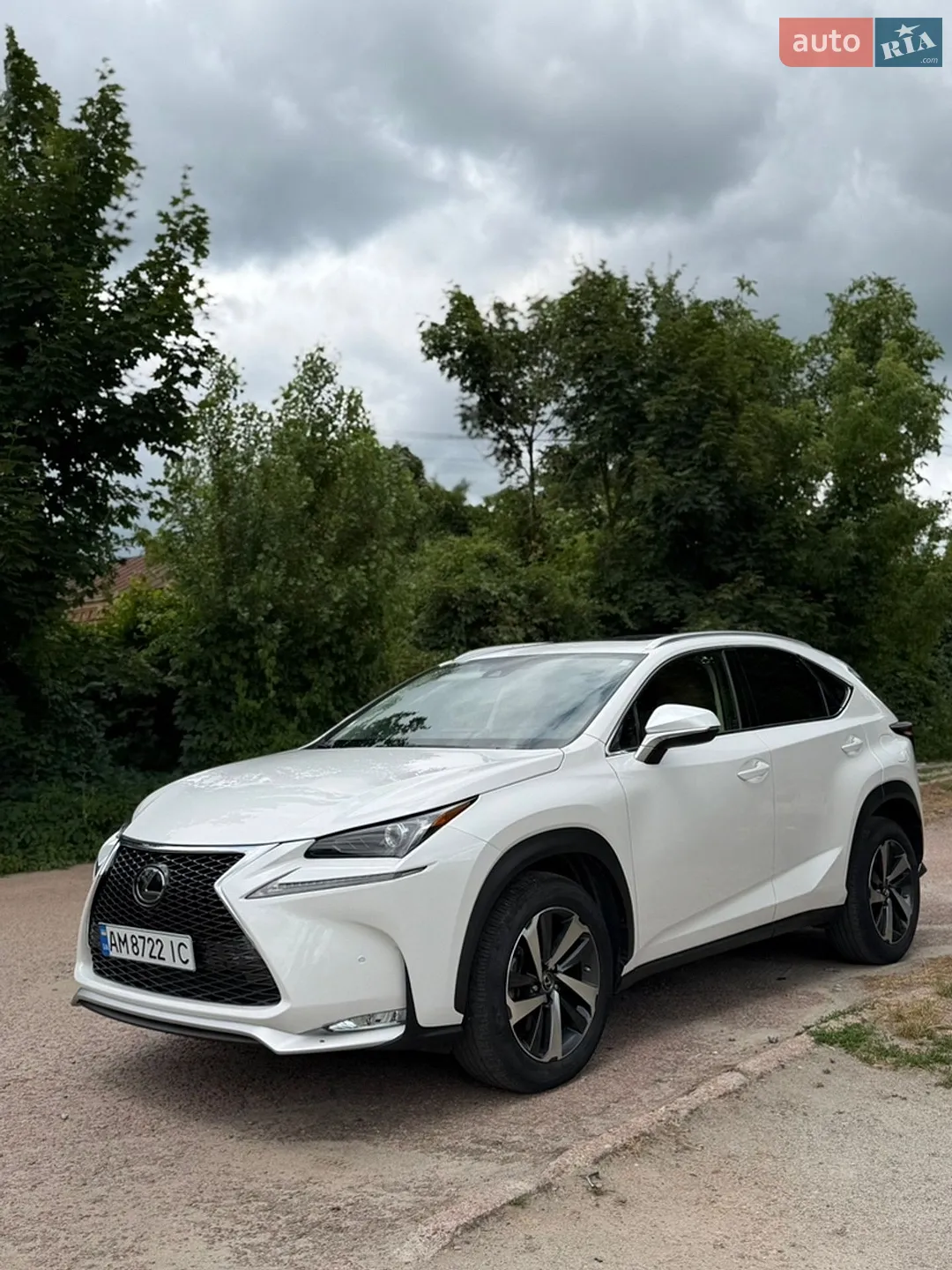 2019 Lexus NX - мініатюра 4