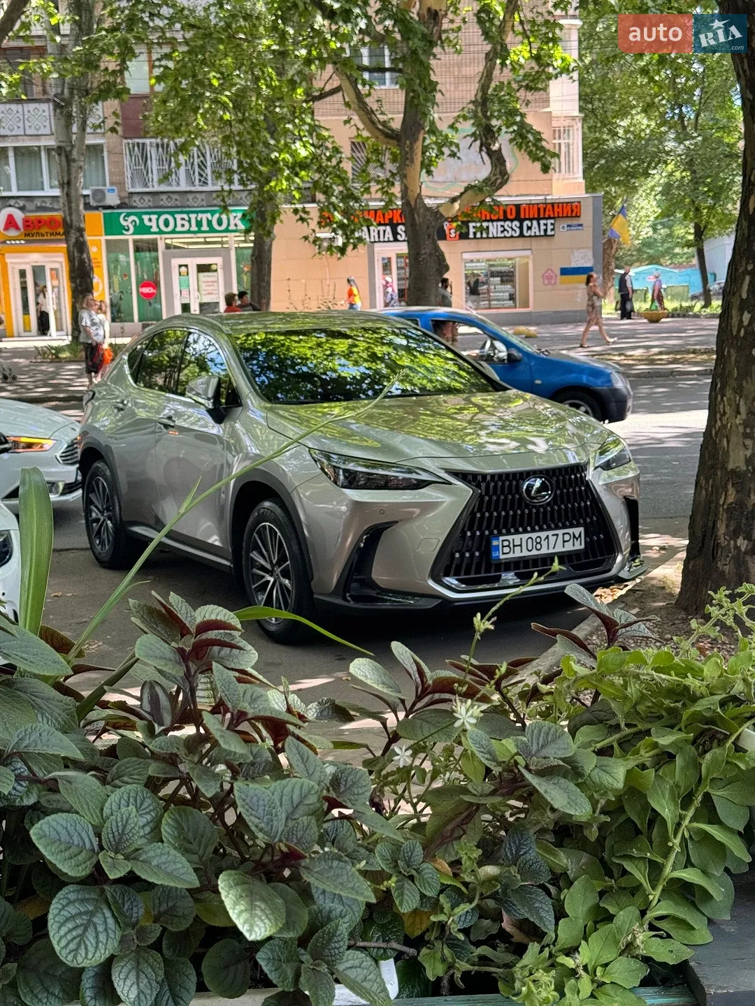 2022 Lexus NX - мініатюра 18