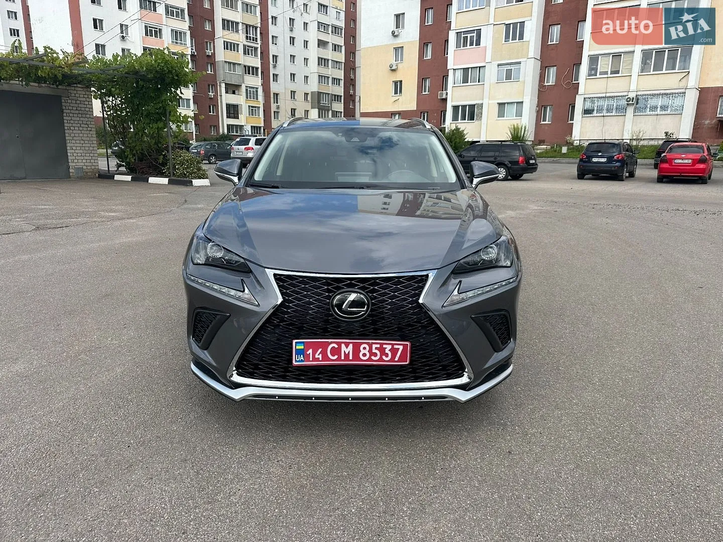 2020 Lexus NX - мініатюра 2