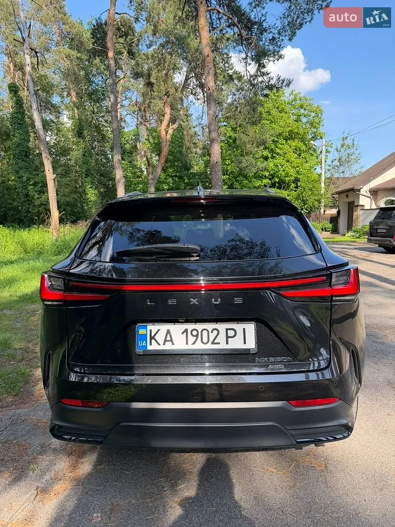 2024 Lexus NX - мініатюра 10
