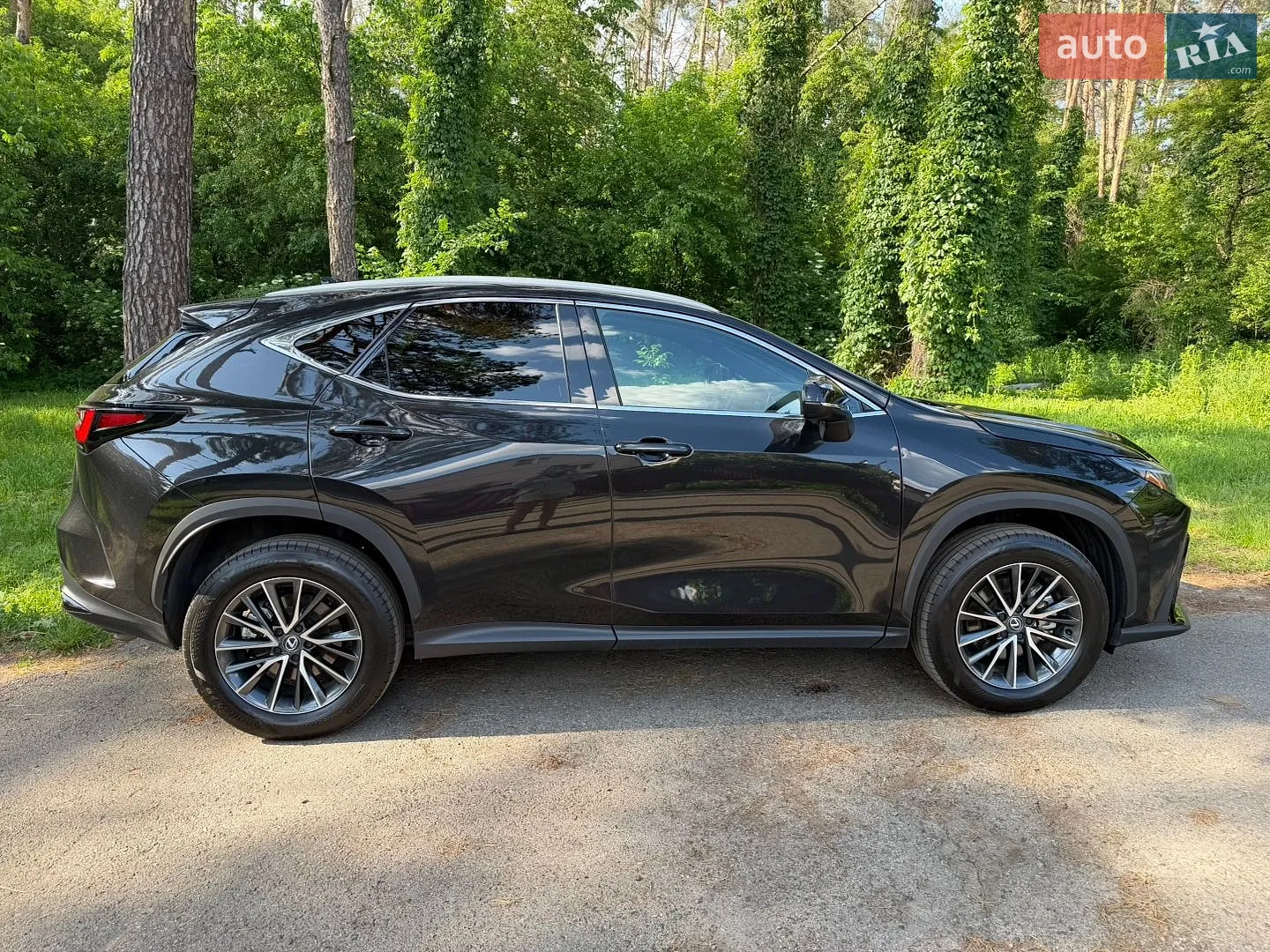 2024 Lexus NX - мініатюра 4
