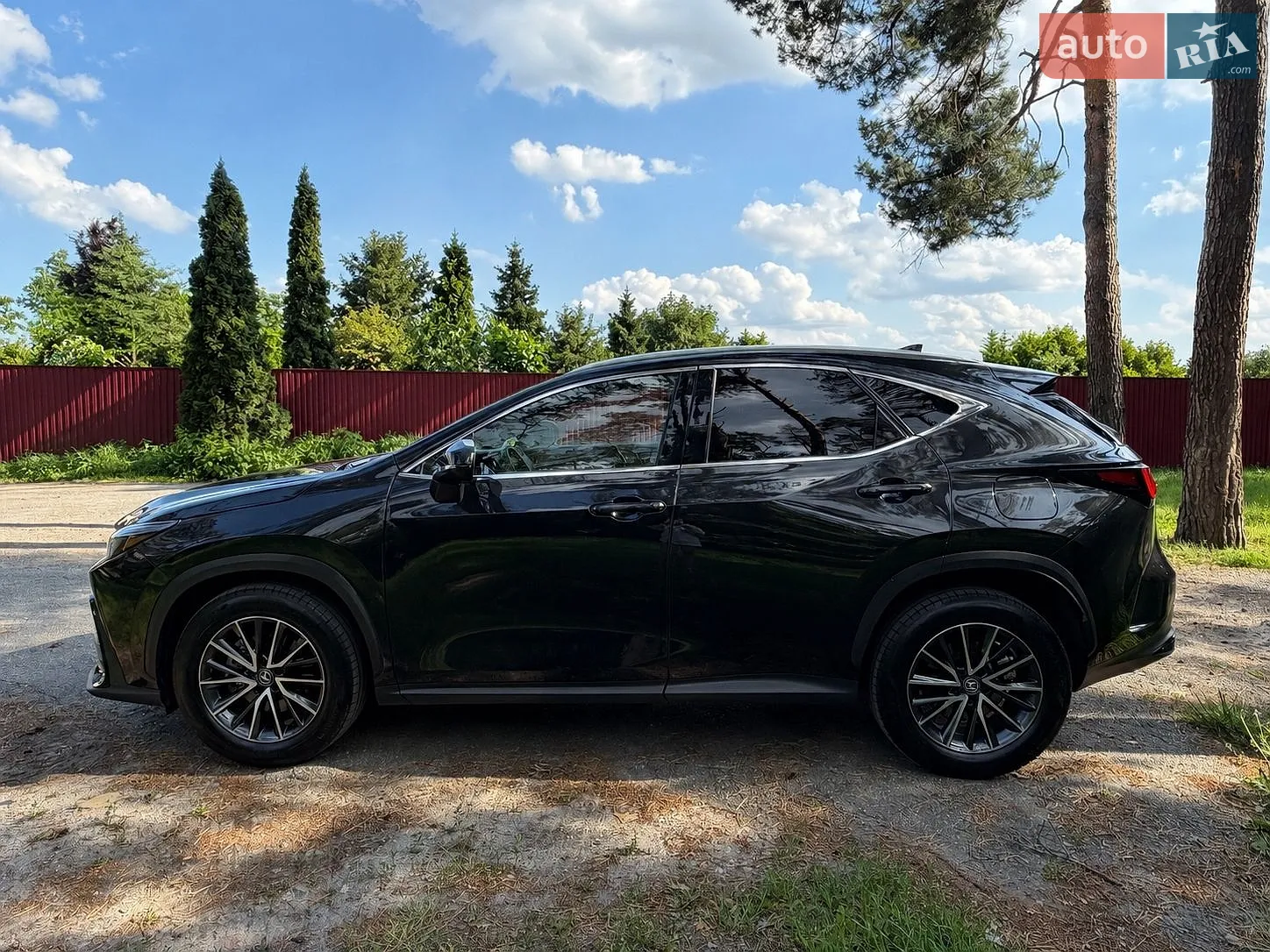 2024 Lexus NX - мініатюра 8