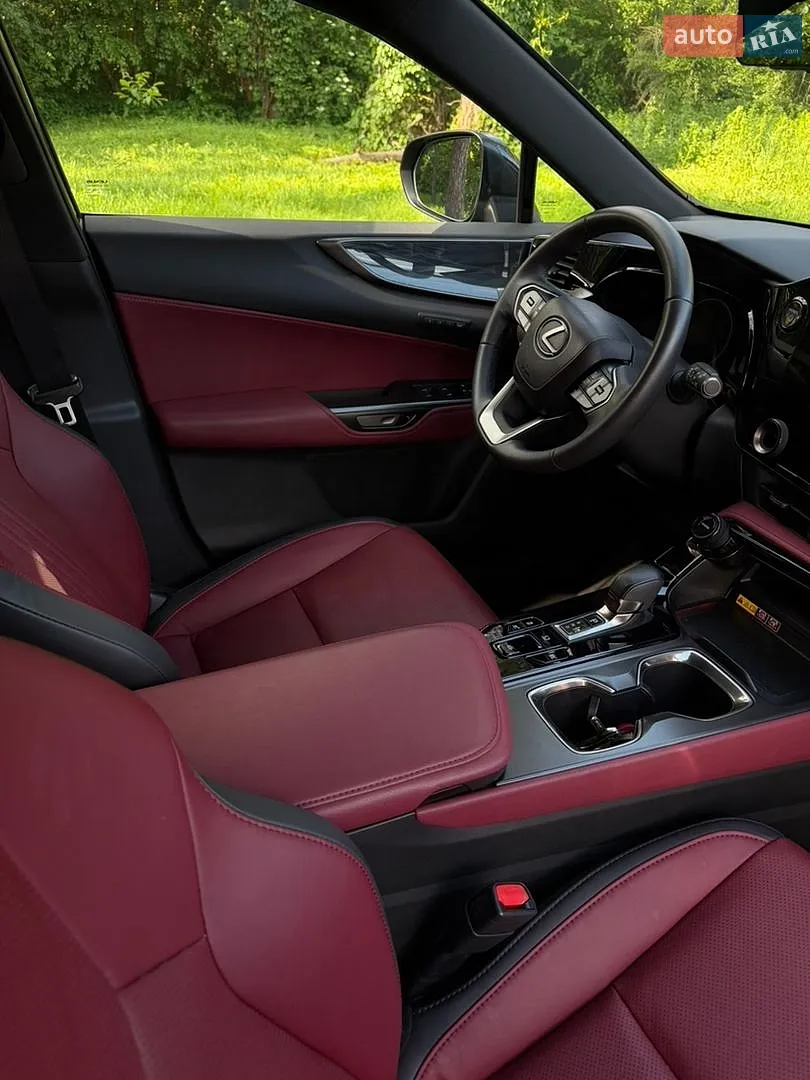 2024 Lexus NX - мініатюра 16
