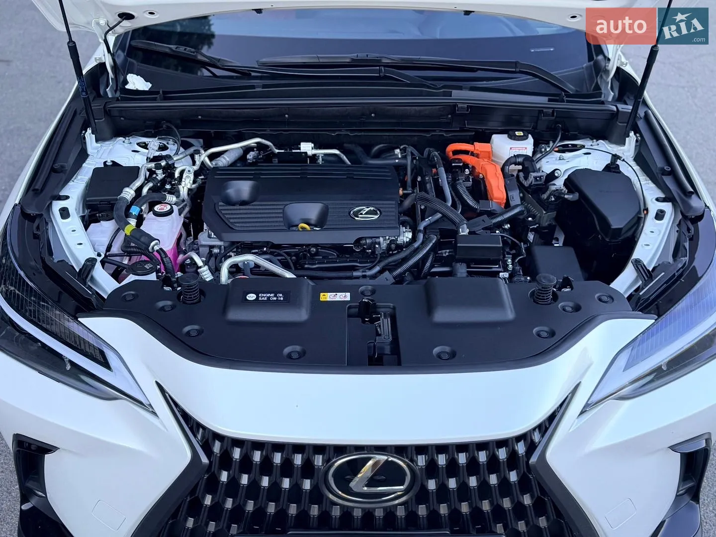 2025 Lexus NX - мініатюра 41