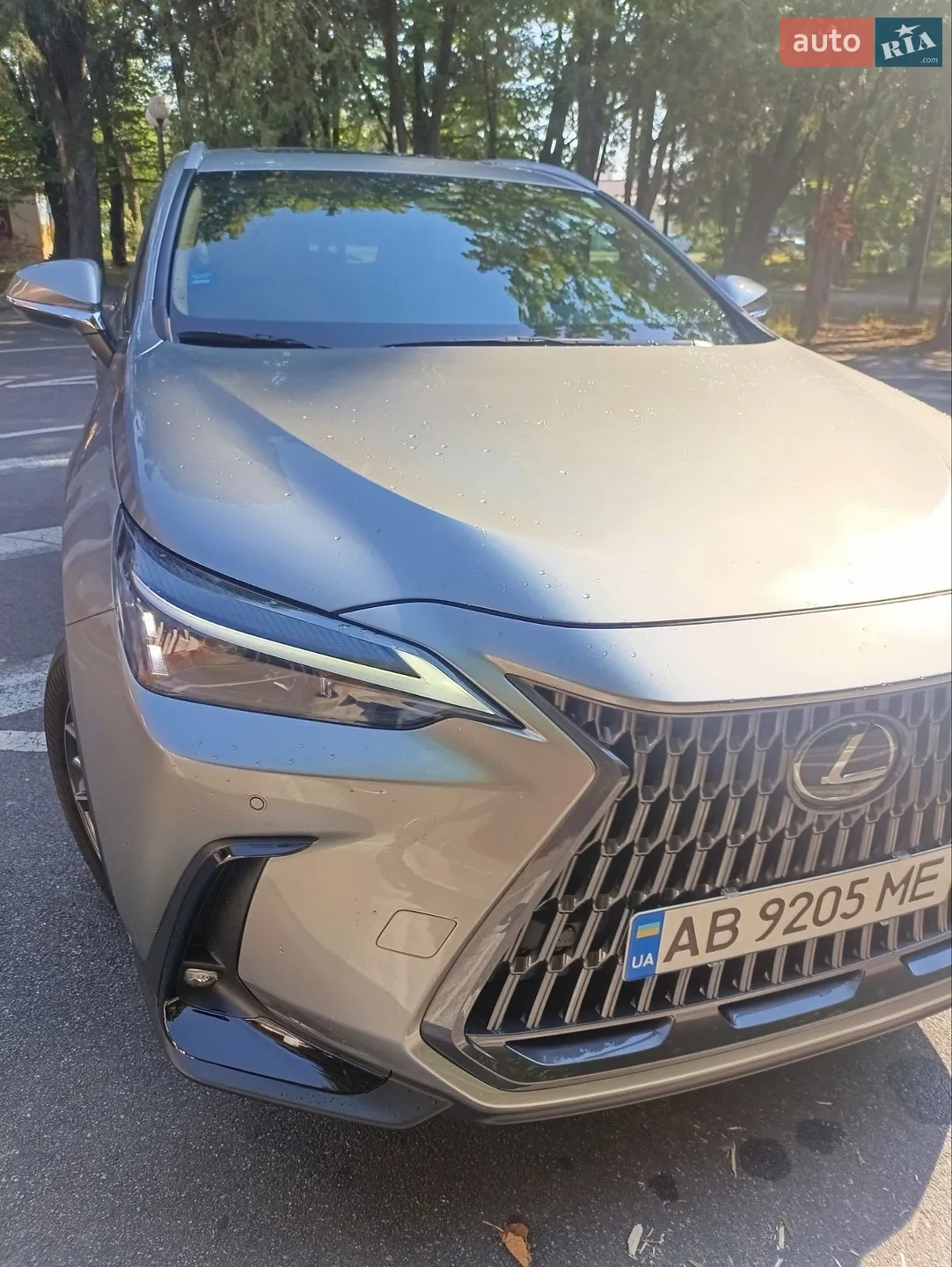 2025 Lexus NX - мініатюра 10