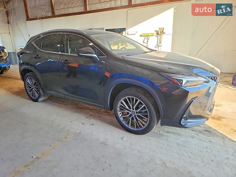 Lexus NX 2024