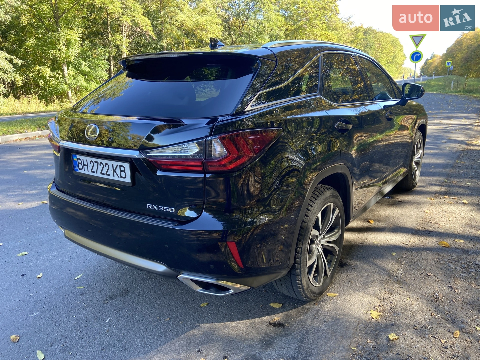 2019 Lexus RX - мініатюра 14