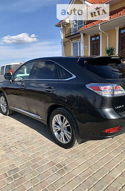 Внедорожник / Кроссовер Lexus RX 2009 в Тернополе