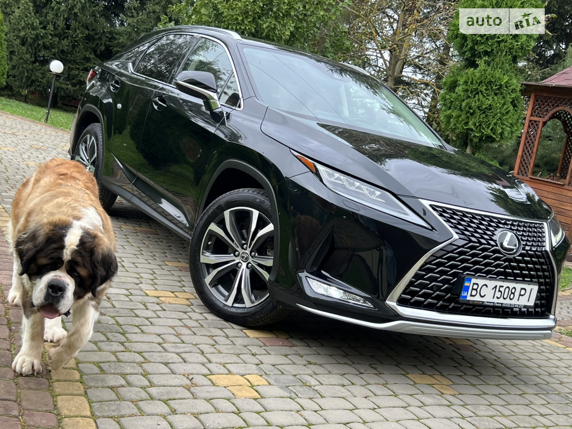 2019 Lexus RX - мініатюра 39