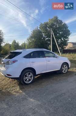 Lexus RX 2010