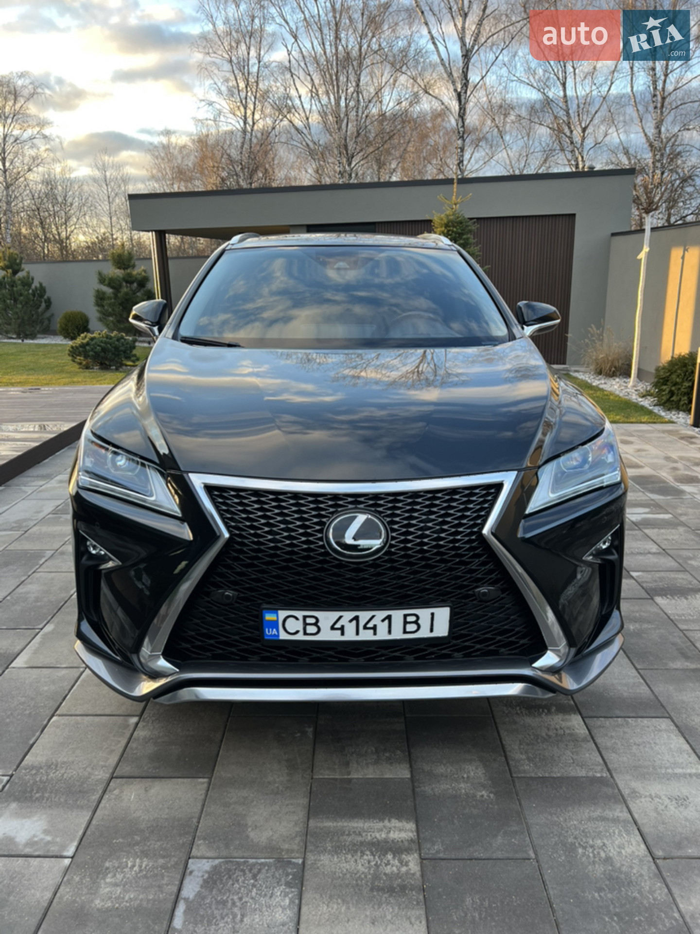 2017 Lexus RX - мініатюра 3