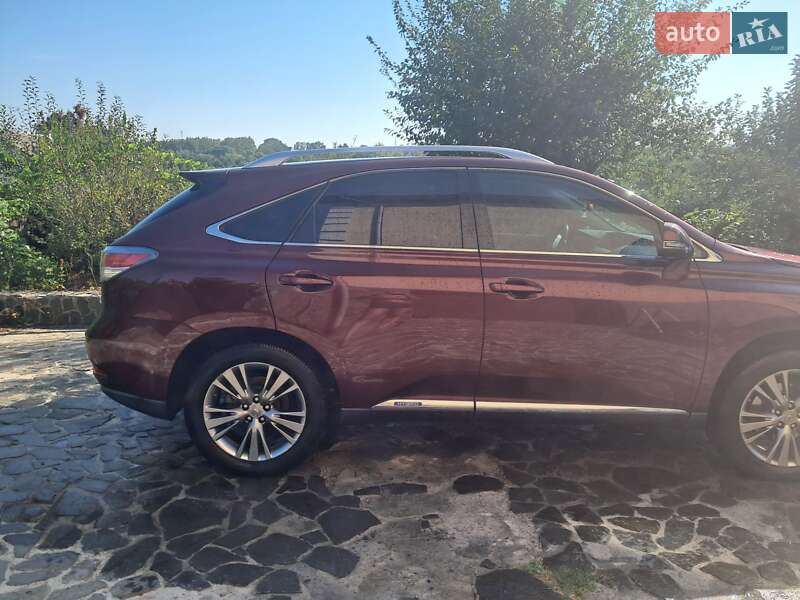 Внедорожник / Кроссовер Lexus RX 2012 в Василькове фото 10 Внедорожник / Кроссовер Lexus RX 2012 в Василькове