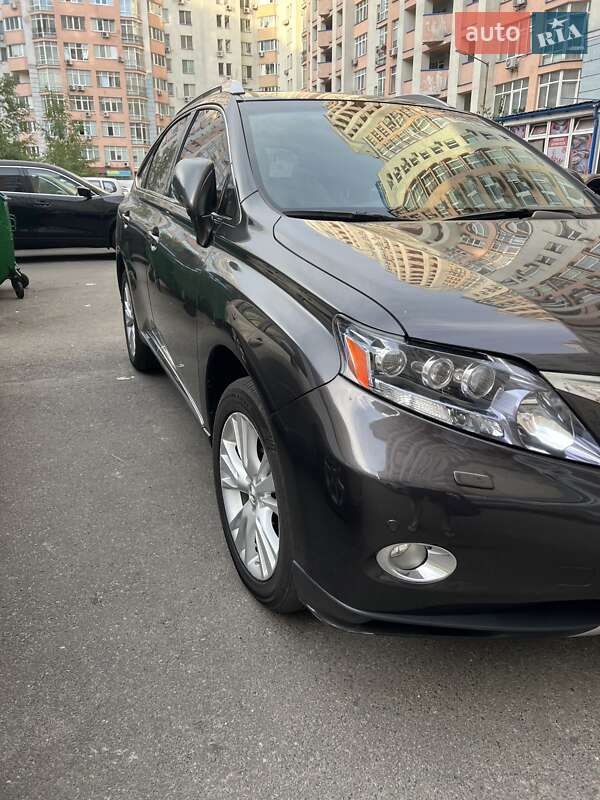 Позашляховик / Кросовер Lexus RX 2010 в Києві