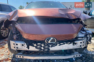 Внедорожник / Кроссовер Lexus RX 2023 в 