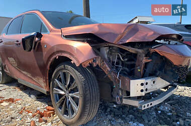 Lexus RX 2023 Lexus RX 2023