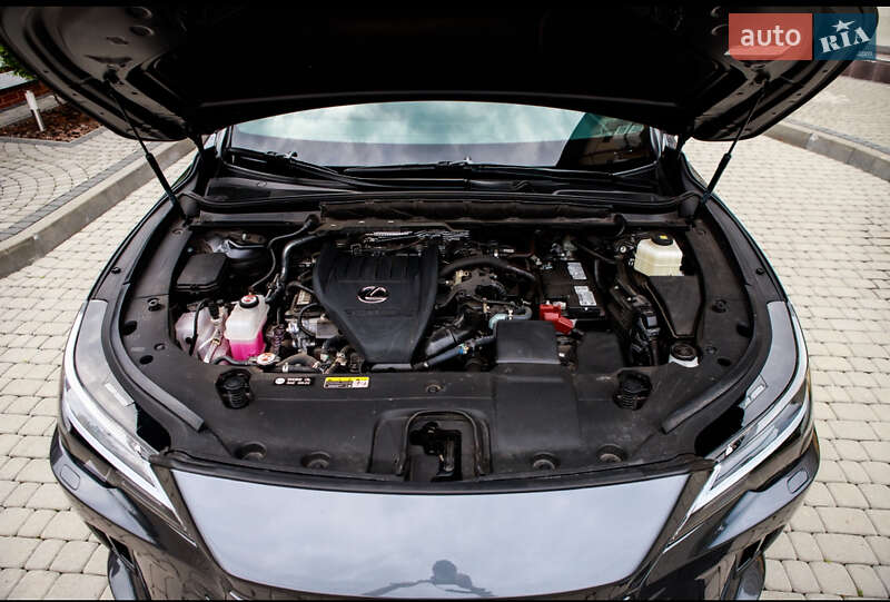 Позашляховик / Кросовер Lexus RX 2024 в Шептицькому