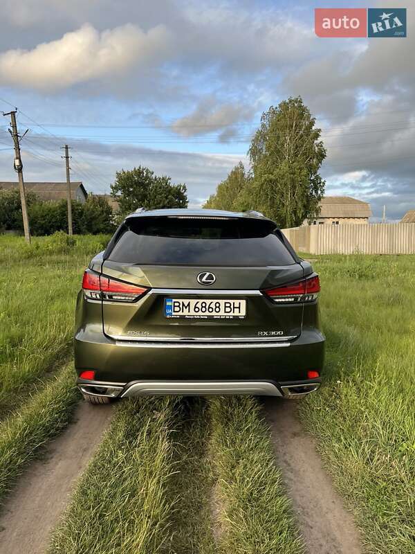 Внедорожник / Кроссовер Lexus RX 2020 в Конотопе