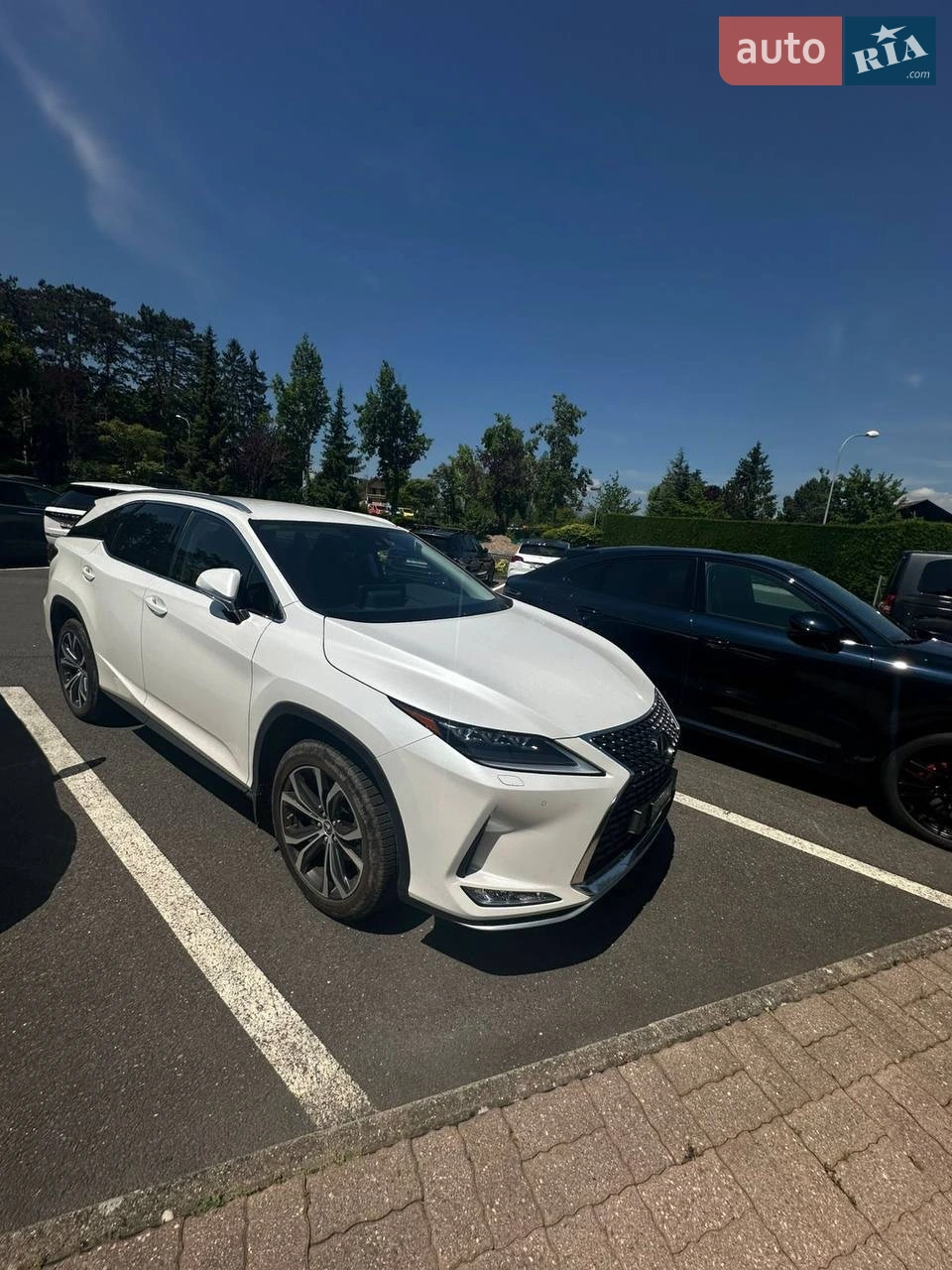 2022 Lexus RX - мініатюра 5