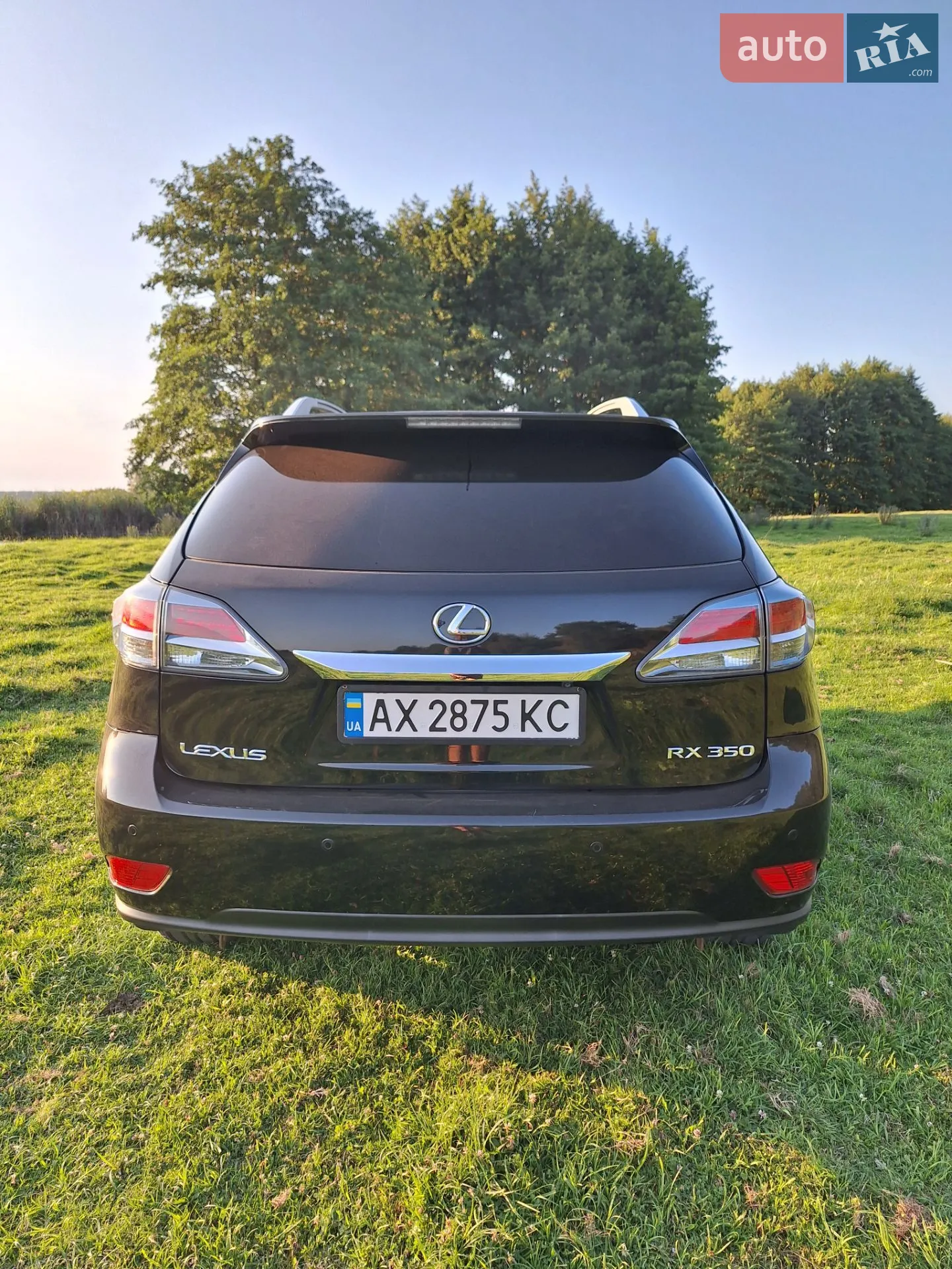 2013 Lexus RX - мініатюра 8