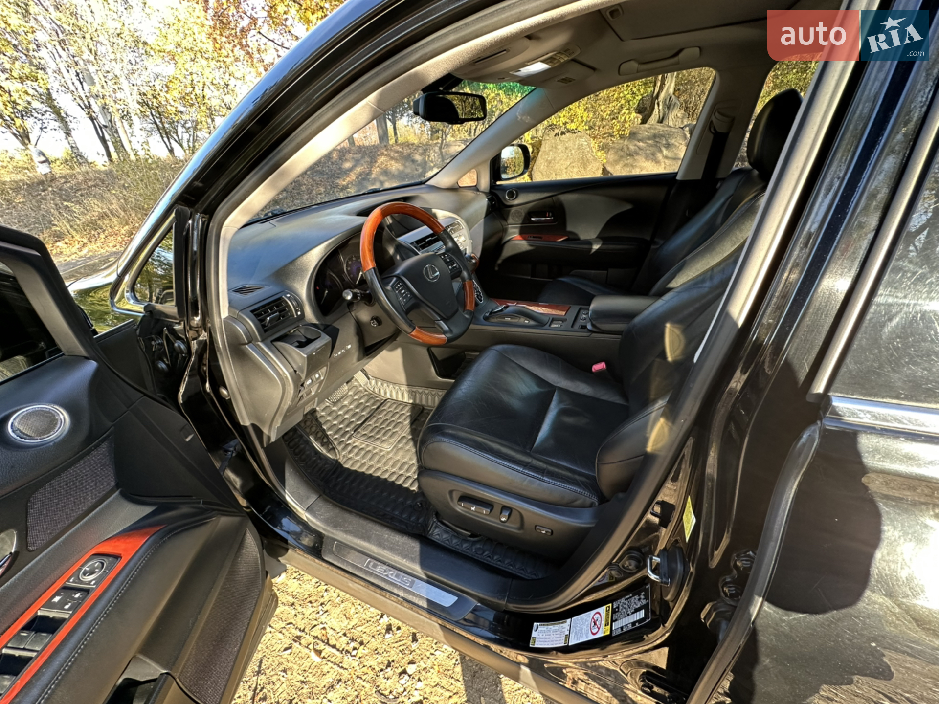 2010 Lexus RX - мініатюра 43