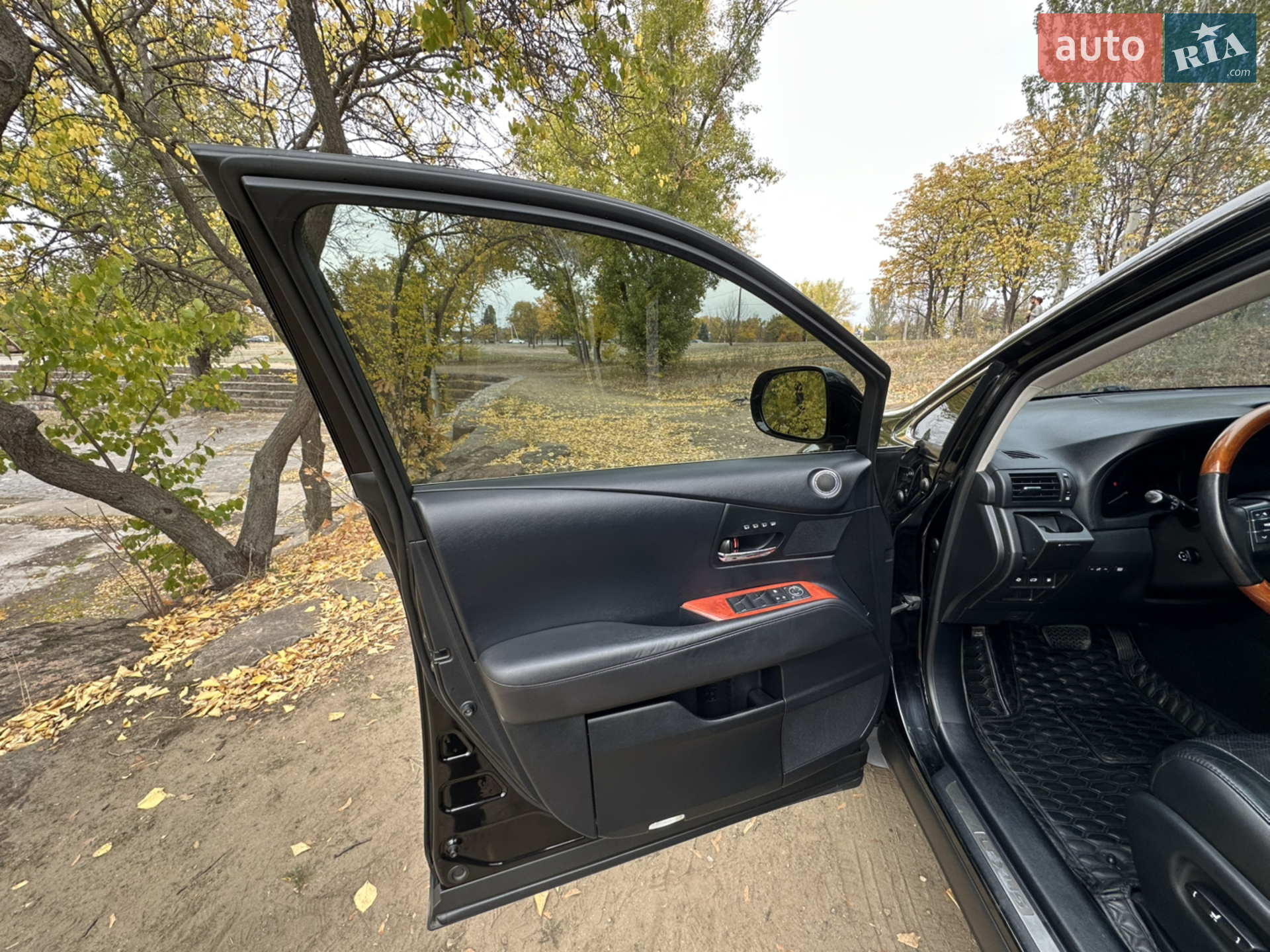 2010 Lexus RX - мініатюра 42