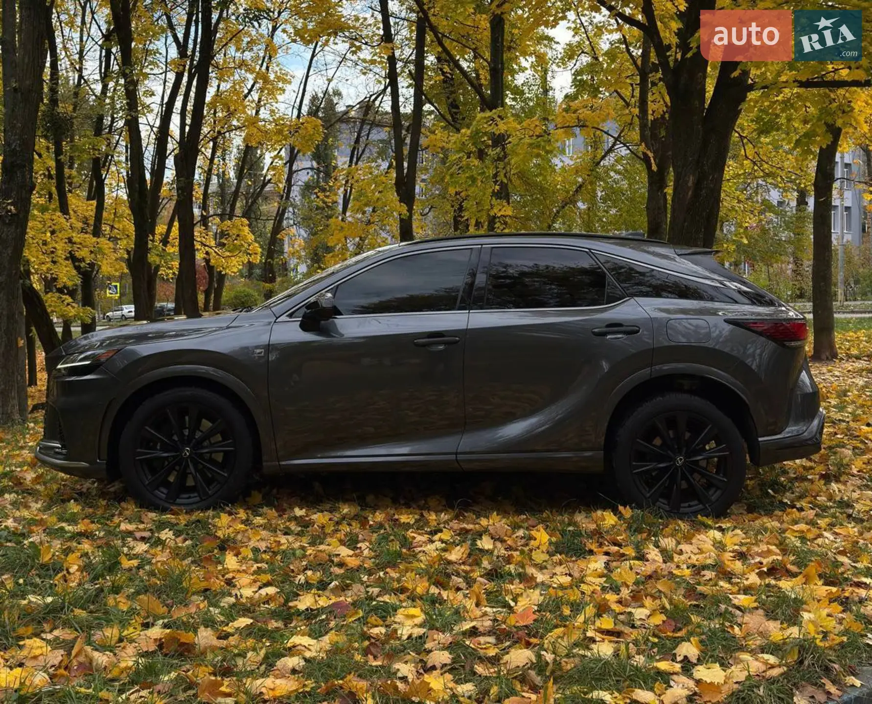 2024 Lexus RX - мініатюра 5