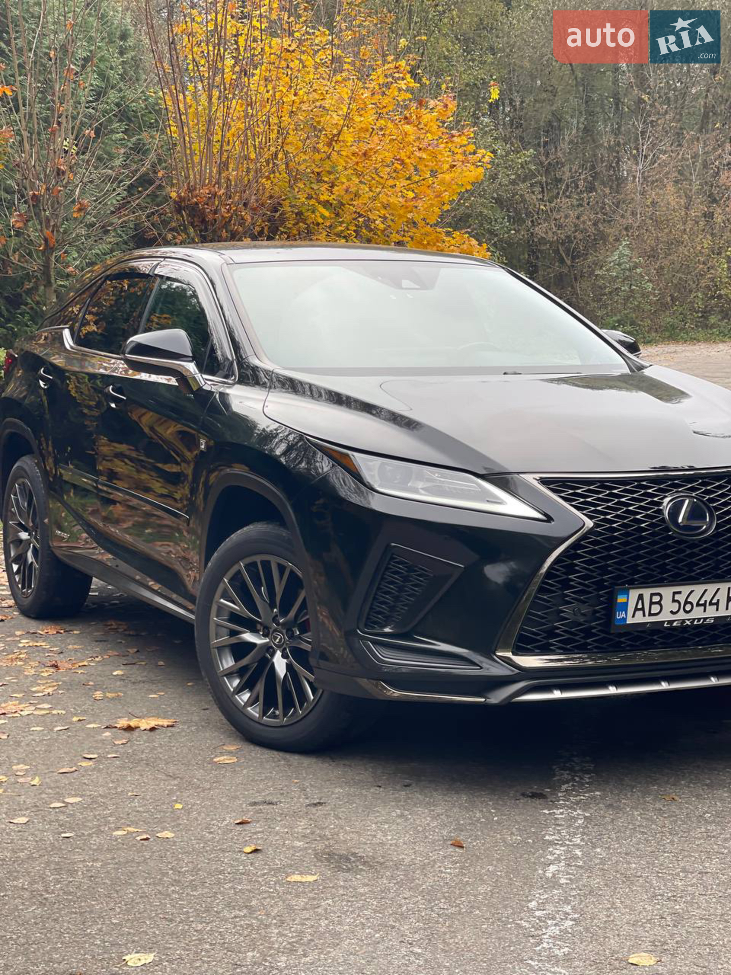 2020 Lexus RX - мініатюра 10