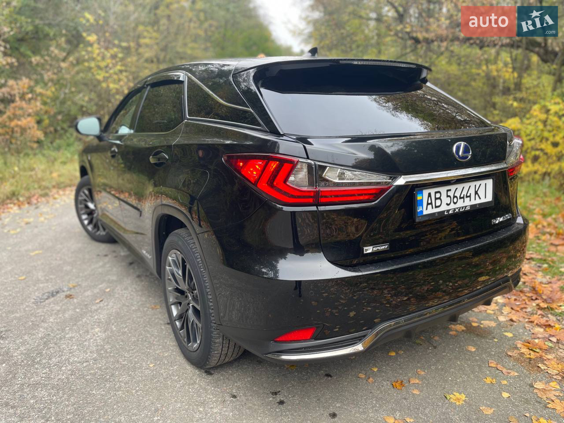 2020 Lexus RX - мініатюра 14