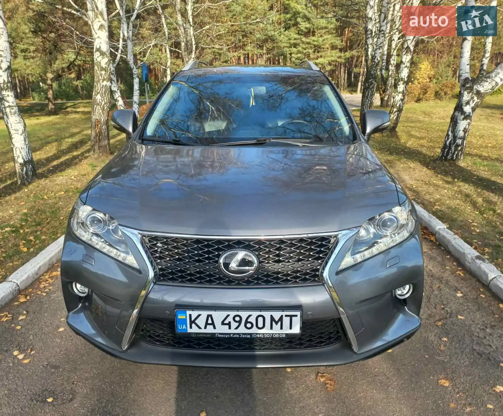 2014 Lexus RX - мініатюра 7