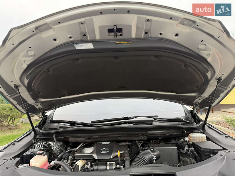 Внедорожник / Кроссовер Lexus RX 2019 в Днепре фото 22 Внедорожник / Кроссовер Lexus RX 2019 в Днепре