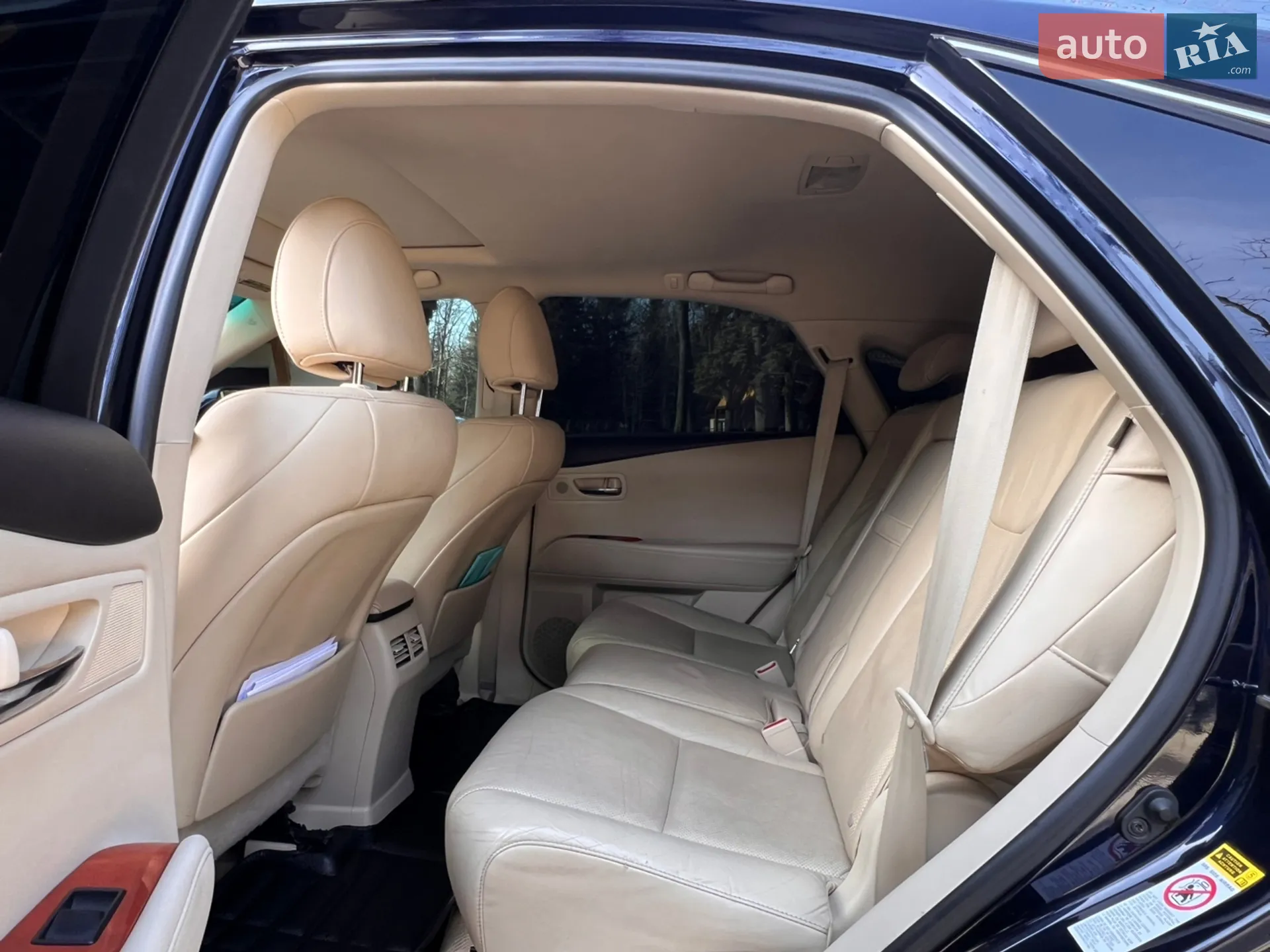 2010 Lexus RX - мініатюра 84