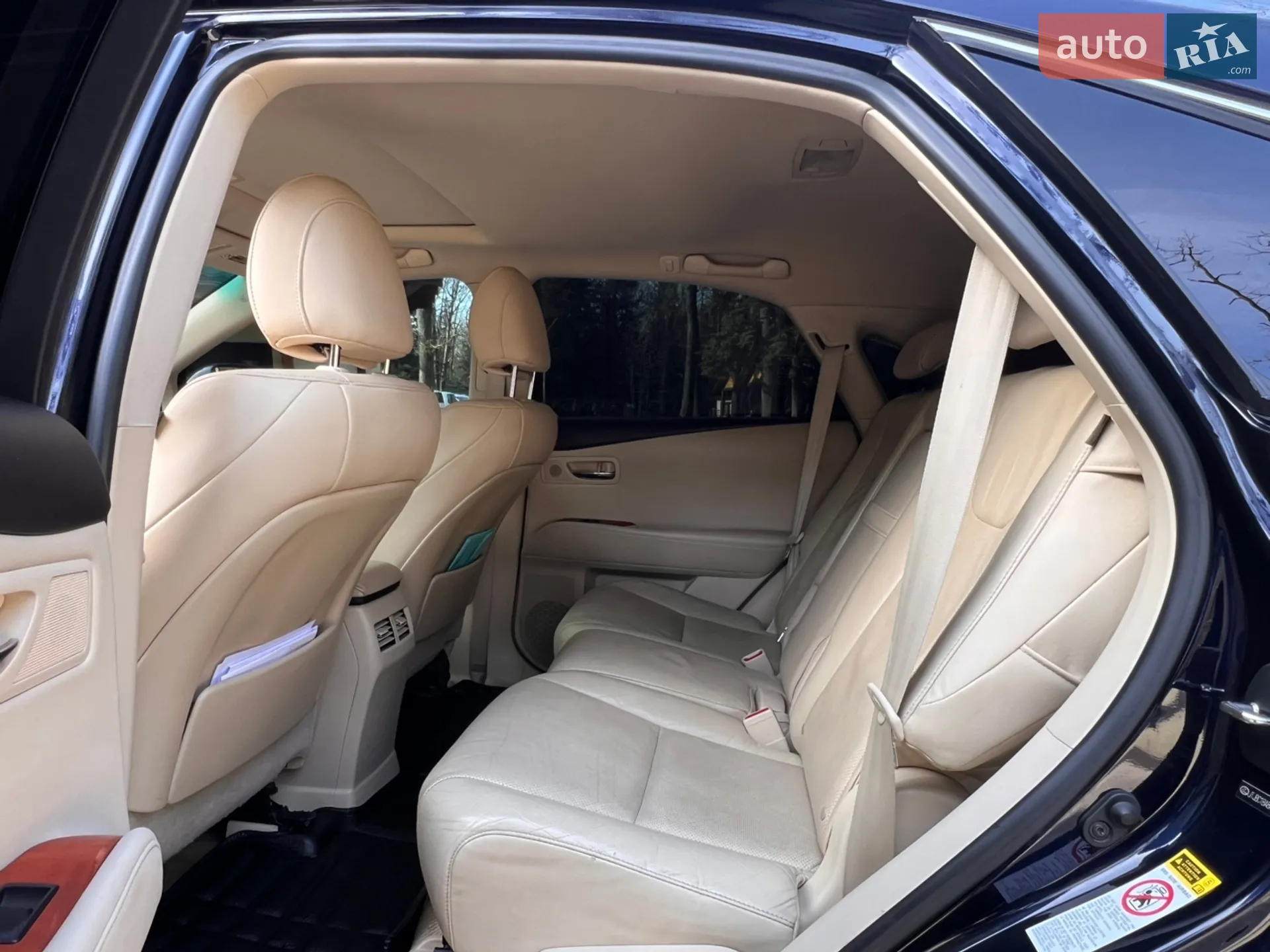 2010 Lexus RX - мініатюра 85