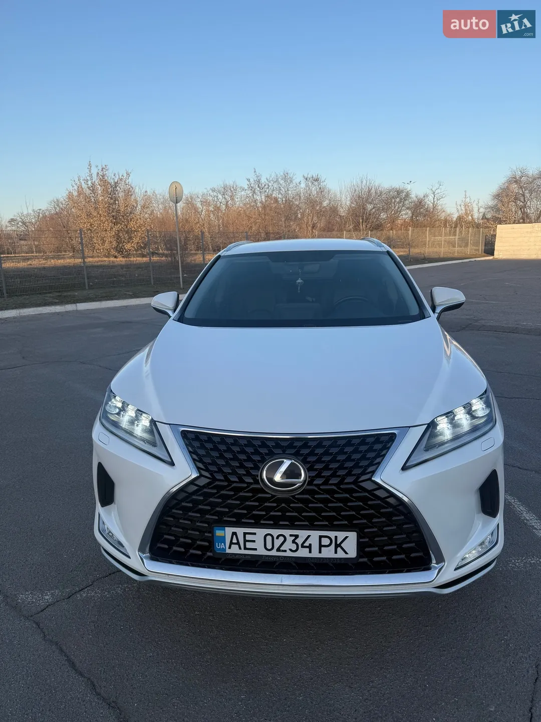 2021 Lexus RX - фото 1